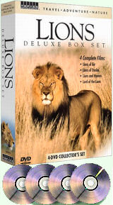 Lions Deluxe DVD Set